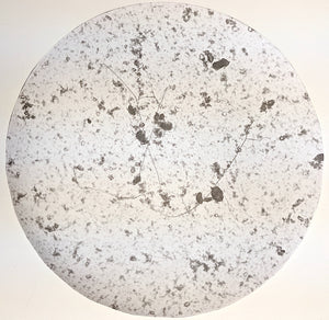Basic Biology Soil Appraisal